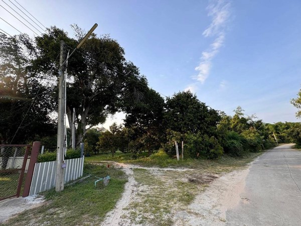 ขายด่วน ลดราคา ที่ดินสวนทุเรียนเมืองระยอง วิวภูเขา ติดแหล่งน้ำธรรมชาติ ใกล้ทะเล เนื้อที่ 4 ไร่กว่า โทร 0852619111 เจ้าของขายเอง